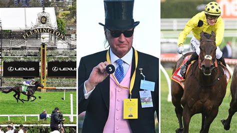 Melbourne Cup 2023 form guide, every horse rated, tips, odds, .